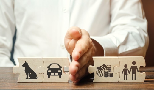 Hand splitting up icons of various items such as dog, car, money